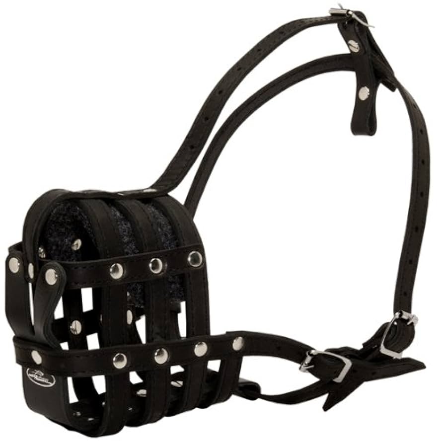 りんごさん専用ドライフード ゴールデン・ラブラドール用 りんごさん専用ドライフード ゴールデン・ラブラドール用